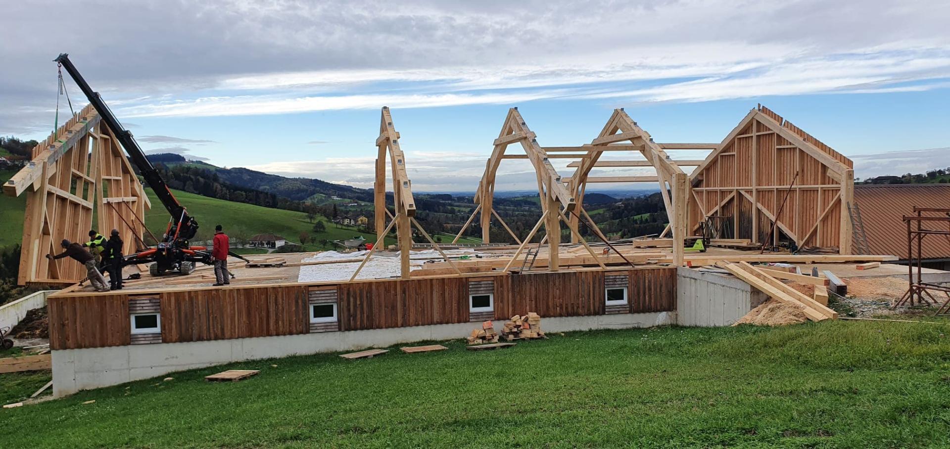 Holzbau Projekt 6